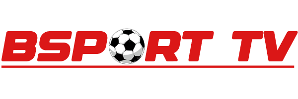 bsport0.win